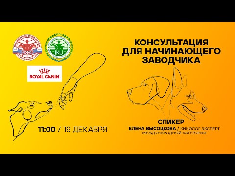 Видео: Консультация для начинающего заводчика.