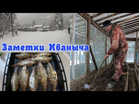 Видео: Рыба, домашние дела и снег в конце апреля