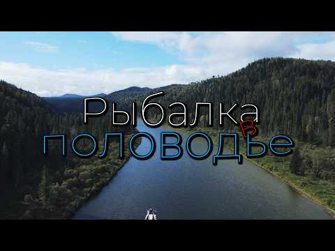 Видео: Осенняя рыбалка! ЛОВЛЯ ХАРИУСА! Таёжный быт!