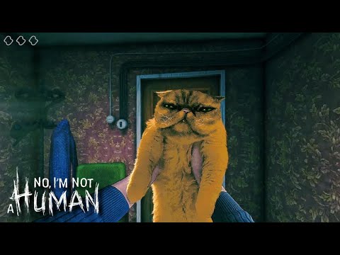 Видео: ЖЕСТЬ ЧТО ПРОИСХОДИТ!No, I'm not a Human #2