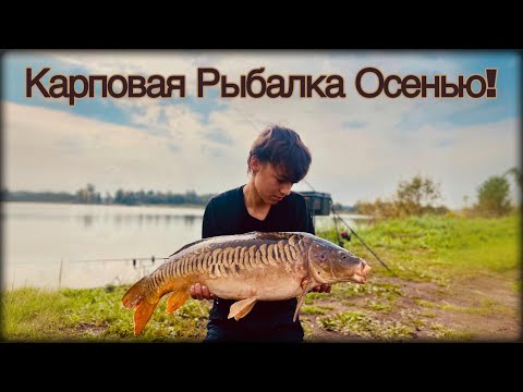 Видео: Карповая рыбалка осенью! Выжидание трофея или частый клёв? Карпфишинг на Alberta diķi.