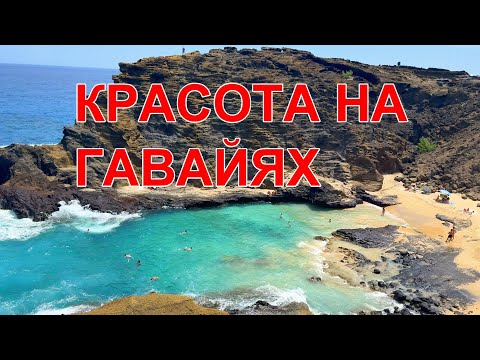 Видео: США. Продолжаем путешествие по Гавайям (O'ahu). Такая разная жизнь на острове.