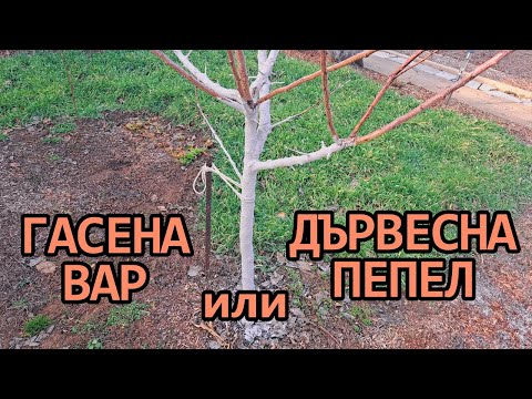 Видео: Защо използвам дървесна пепел вместо гасена вар