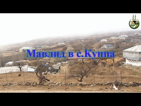 Видео: Мавлид в с. Куппа