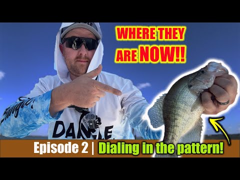 Видео: Где найти Fall CRAPPIE (Эпизод 2) | Набираем узор! |