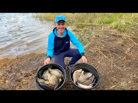 Видео: Осторожно, мощная рыбалка ⚠️ Огромные караси и ведро лещей 💪 Рыбалка на фидер 🎣