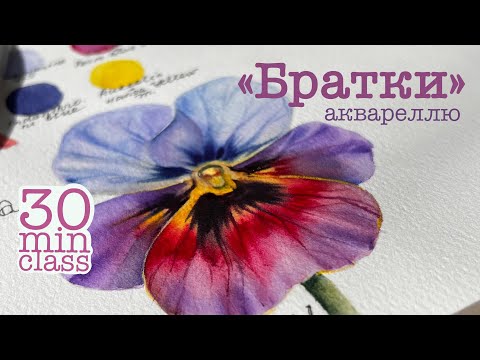 Видео: Урок акварелі — малюємо фіалки-братки за 30 хвилин