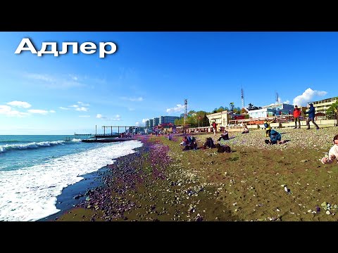 Видео: АДЛЕР. РЕКА МЗЫМТА. МАНДАРИН. ПЛЯЖ ЧАЙКА. УЛ. ДЕМОКРАТИЧЕСКАЯ. РЫНОК.