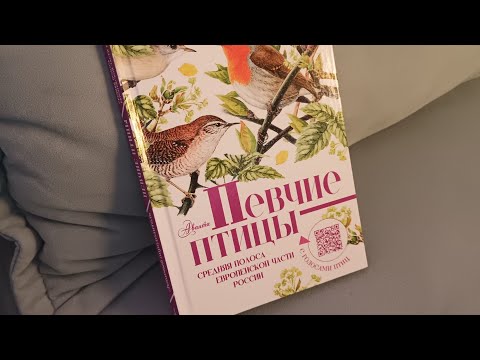 Видео: ИСЦЕЛЯЮЩАЯ УБОРКА 🌿 МОТИВАЦИЯ НА УБОРКУ В КУХНЕ 🌿 ЧТО Я ЛЮБЛЮ ❤ ЧТО ДАВНО МЕЧТАЛА СДЕЛАТЬ  🌿