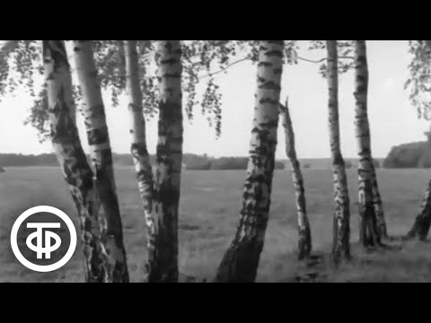 Видео: Лесные Поляны. О создании образцового советского хозяйства (1967)