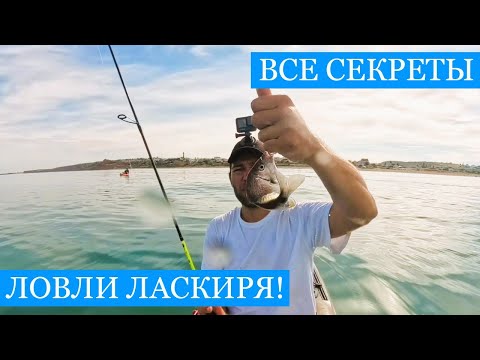Видео: СЕКРЕТЫ ловили МОРСКОГО КАРАСЯ!! - Теперь точно не останешься без рыбы! Проверено профессионалами!)
