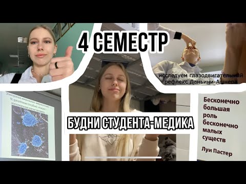 Видео: Будни студента-медика // начало 4 семестра // "любимая" микробиология, пропед // просто моя жизнь...