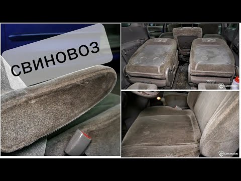 Видео: "Свиновоз" В этом салоне возили "СВИНЕЙ",  полная химчистка светлого салона Mazda mpv