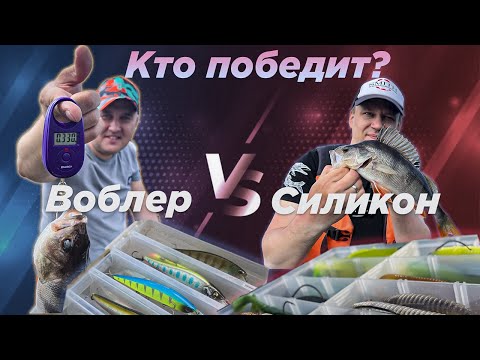 Видео: Попали на раздачу окуня. Река Сухона. Устроили мини баттл приманок.