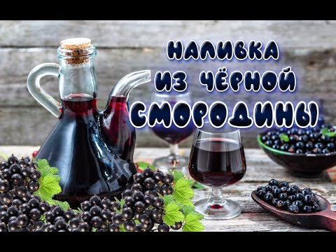 Видео: Наливка из чёрной смородины - домашний рецепт