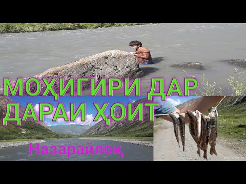 Видео: Моҳигири дар дараи Ҳоит 20-07-2020 то охир тамошо кунед.