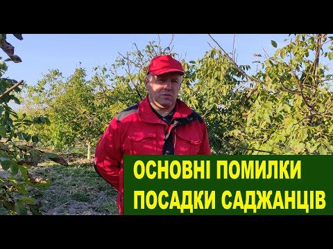 Видео: №108 Горіхові саджанці: Основні помилки посадки