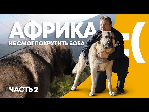 Видео: В сторону Гибралтара. Куда запропастился Иван?