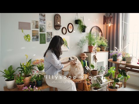 Видео: 35 растений для уюта в доме с плантериором🌿Как красиво ухаживать за ними в квартире +15 товаров IKEA