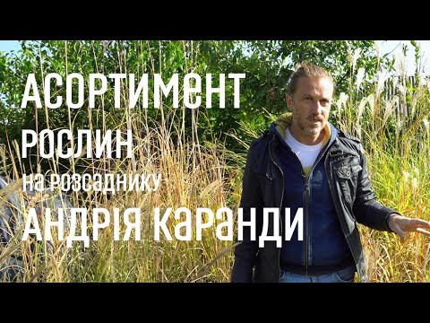 Видео: ЛАНДШАФТНИЙ ДИЗАЙН | АСОРТИМЕНТ РОЗСАДНИКА АНДРІЯ КАРАНДИ