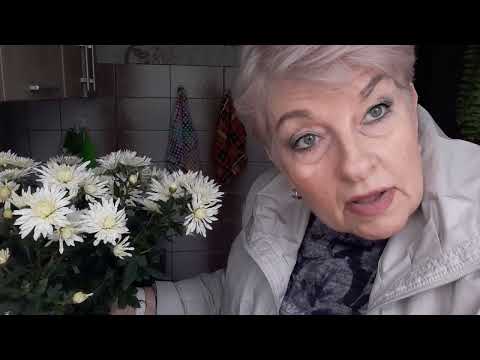 Видео: ВЛОГ -5(ОКТЯБРЬ )❤ БЕЛАРУСЬ 2025🍂🍂🥀