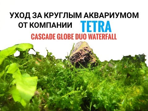 Видео: Уход за круглым аквариумом(Tetra Cascade Globe Duo Waterfall )