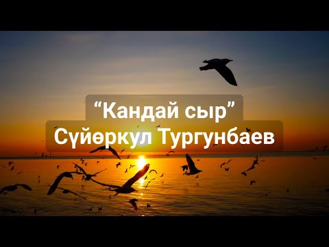 Видео: Сүйөркул Тургунбаев | Кандай сыр | поэзия