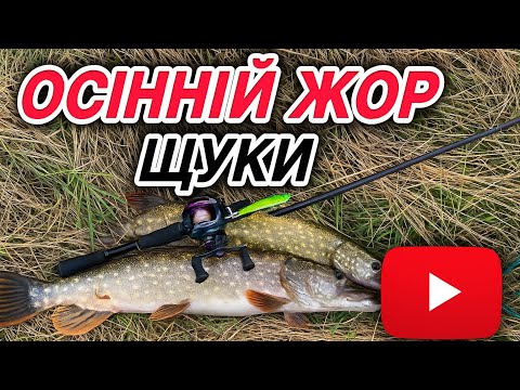 Видео: ОСІННІЙ ЖОР ✅ РИБАЛКА на ЩУКУ осінь 2025