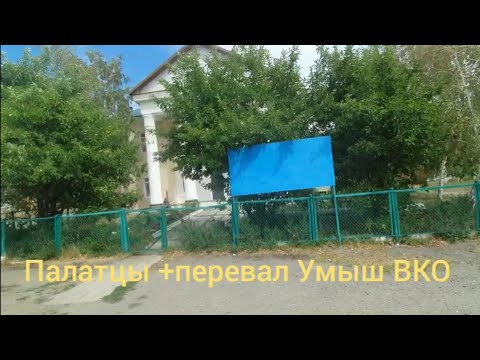 Видео: Палатцы ВКО Мы Там Последний Раз а Вы