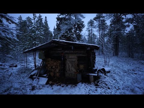 Видео: Такой рыбалки я не помню,дикий жор окуня. Озеро в опасности. Живу один в старой избе. Первый лёд.