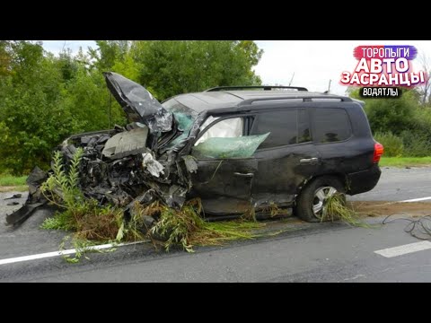 Видео: А Саня, Дома? Июльнутые Торопыги и Водятлы! ДТП