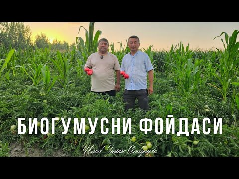 Видео: БЕРИЛГАН ИМКОНИЯТДАН УНУМЛИ ФОЙДАЛАНГАН ДЕХКОН.