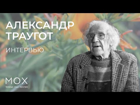 Видео: «МОХ»: интервью с Александром Трауготом
