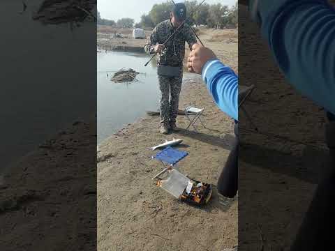 Видео: Осень2024 #рыбалка #fishing