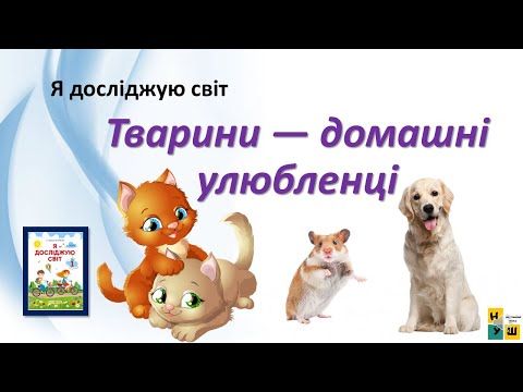 Видео: ЯДС 1 клас урок 60  Тварини — домашні улюбленці автор підручника Жаркова