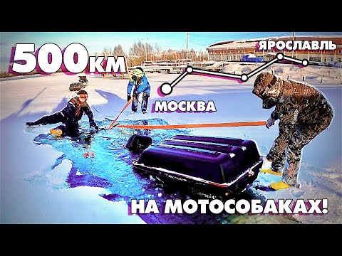 Видео: УТОПИЛИ БУКСИРОВЩИК!!! 500км на МОТОСОБАКАХ! Из Москвы в Ярославль с ПРИКЛЮЧЕНИЯМИ! Серия 2