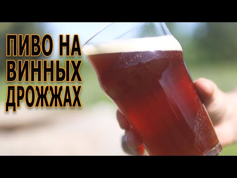 Видео: Пиво на винных дрожжах