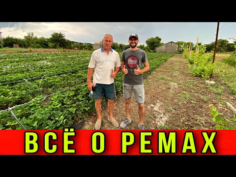 Видео: ВСЕ О РЕМАХ