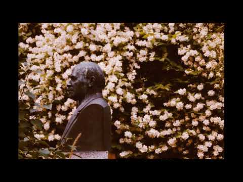 Видео: Дима Билан - Про Белые Розы (doomerwave)