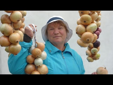 Видео: Думаю что так чернушку на репку Вы ещё не сажали.