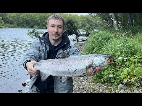 Видео: Неожиданный кижуч