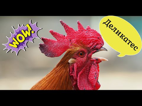 Видео: КУРИНЫЕ ГРЕБЕШКИ СТАРИННЫЙ РЕЦЕПТ ДЕЛИКАТЕС ПРОСТО ТАЕТ ВО РТУ  #рецепт #петух #деликатес #курятина