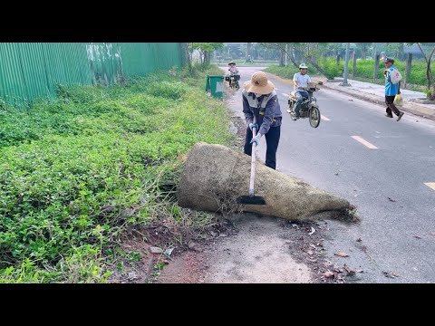 Видео: Будут ли люди выбрасывать мусор обратно на тротуар после того, как мы всё уберём?