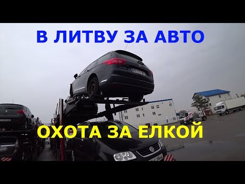 Видео: В Литву за авто. Охота на елку. часть 2