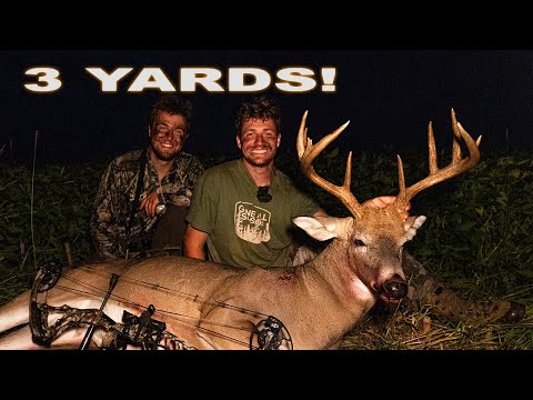 Видео: БОЛЬШОЙ ОЛЕГ на расстоянии 3 ярдов!! (Выслеживание и преследование крупных оленей)