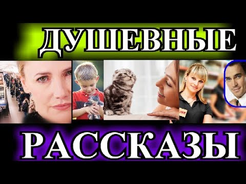 Видео: ДУШЕВНЫЕ РАССКАЗЫ❤️САМАЯ  УМНАЯ❤️СРЕДНИЙ СЫН❤️ОХ УЖ ЭТИ ОСТРЫЕ НОЖИ❤️БАРСИК❤️@TEFI РАССКАЗЫ