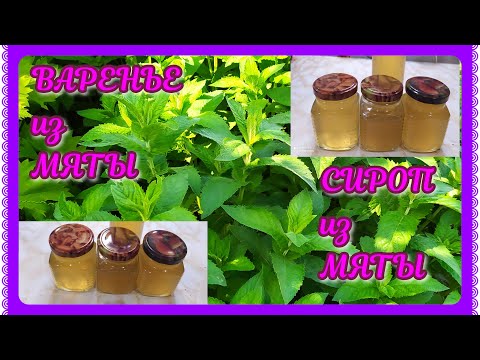 Видео: ВАРЕНЬЕ из МЯТЫ! Ароматный, полезный СИРОП из МЯТЫ!