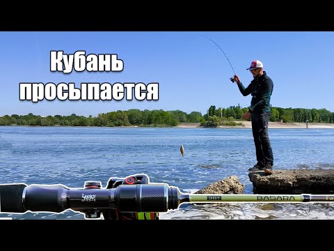 Видео: Микроджиг на реке Кубань | Первая рыбалка с Basara Faktor 2 | невесомая катушка Vanrex micro game