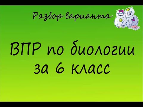 Видео: Биология. Разбор варианта ВПР по биологии 6 класс. Вариант 1