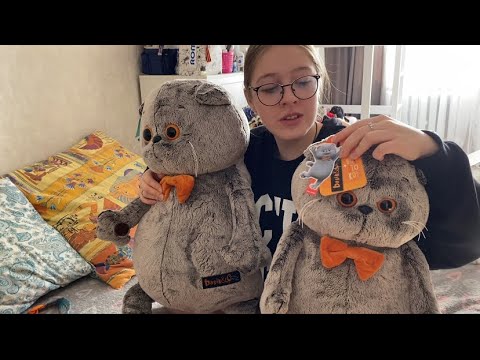 Видео: На два любимца стало больше / Мисс Фаина Влог #vlog